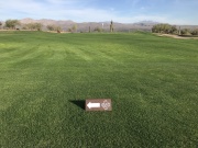 A-frame Directional Signs -VERDE RIVER