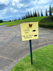Directional-Signs-Kapalua