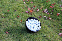 Ball-Bowl-Tilted-3