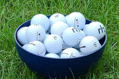Brentwood-Ball-Bowl-1