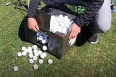 ball crate -Roaring Forks