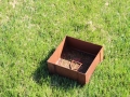 Broken Tee Box -Spanish Oaks