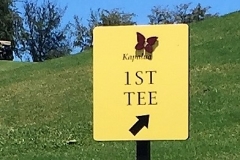 #13 tee#2
