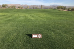 1_A-frame-Directional-Signs-VERDE-RIVER