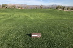 A-frame Directional Signs -VERDE RIVER