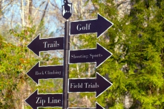 Directional Sign -The Preserve at Boulder Hills