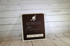 Golf Course Parkling Lot Sign -Troon CC