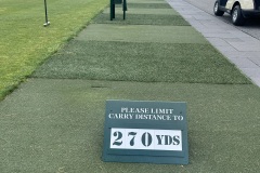 Max-Carry-Distance-Merion