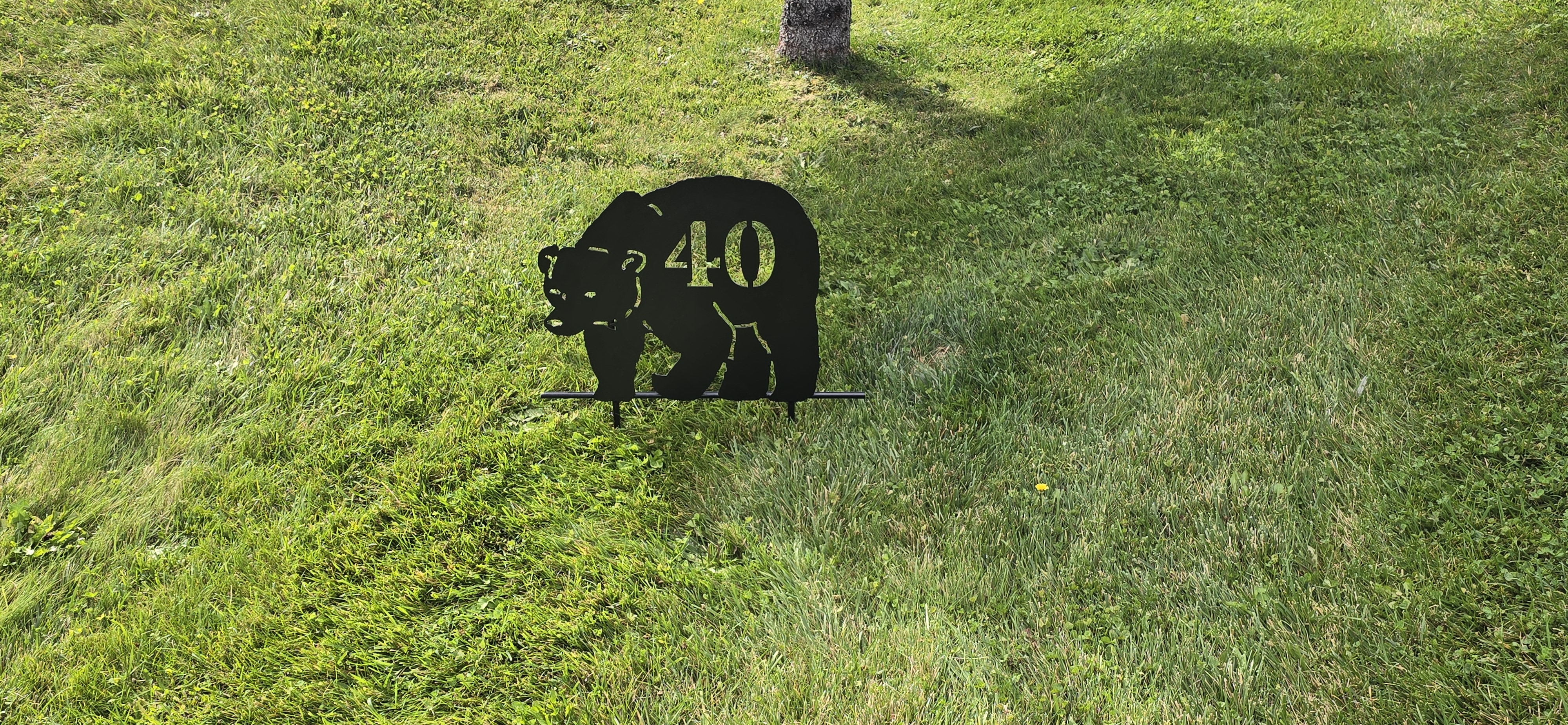 Bear-Target