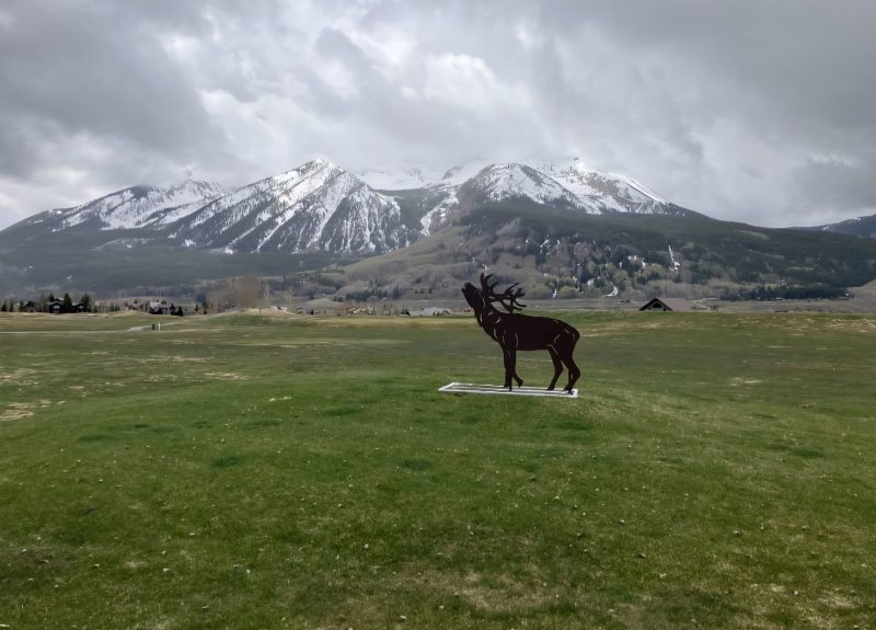 Crested-Butte-Animal-Targets-scaled
