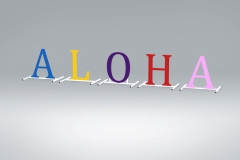 2022-Makena-Aloha-Targets-Color-Change