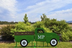 Farm-Truck-Target-Cliffs-at-Mountain-Park