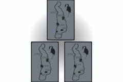 In-Ground Range Signs Head On View