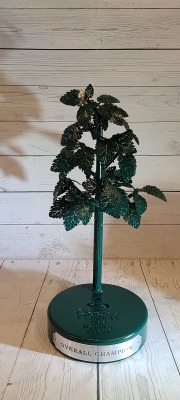 3D-Tree-Trophy-Champions-Retreat-2023