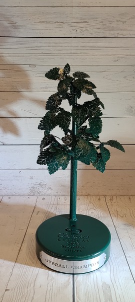 3D-Tree-Trophy-Champions-Retreat-2023