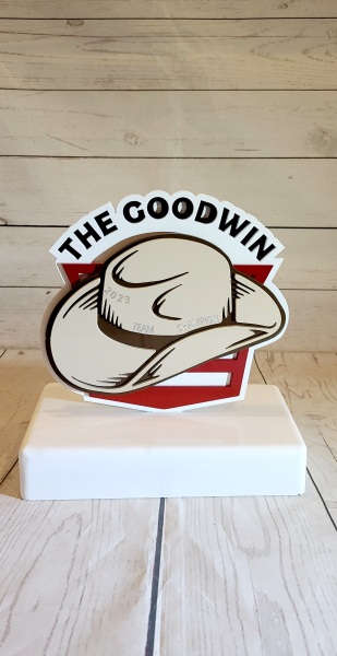 Stanfords-The-Goodwin-Award