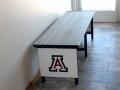 Benches -University of Arizona