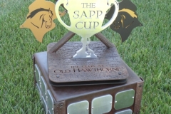 Perpetual Golf Trophies -The Sap Cup
