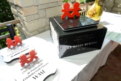 Trophies -children's hospital awards