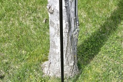 Mini-Flags-Gozzer-Ranch