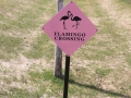 Directional Signs -Flamingo Crossing -Club at Colony Creek