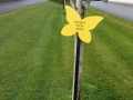 Directional Signs for Golf Courses -Kapalua