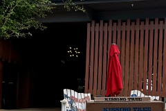 Kissing-Tree-Podium-