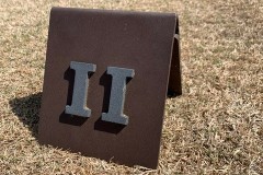 Roman-Numeral-Tee-Marker-Twin-Dolphins-1