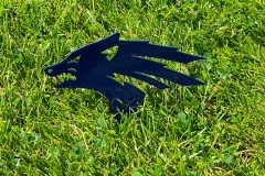 Tee-Marker-College