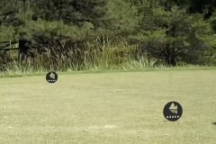 Tee-Markers -Curahee Club