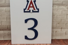 Hole-Sign-ARIZONA