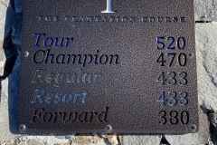 Tee-Sign-Kapalua-Plantation-Course