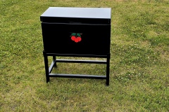 Medium-Insulated-Cooler-Cherry-Hill